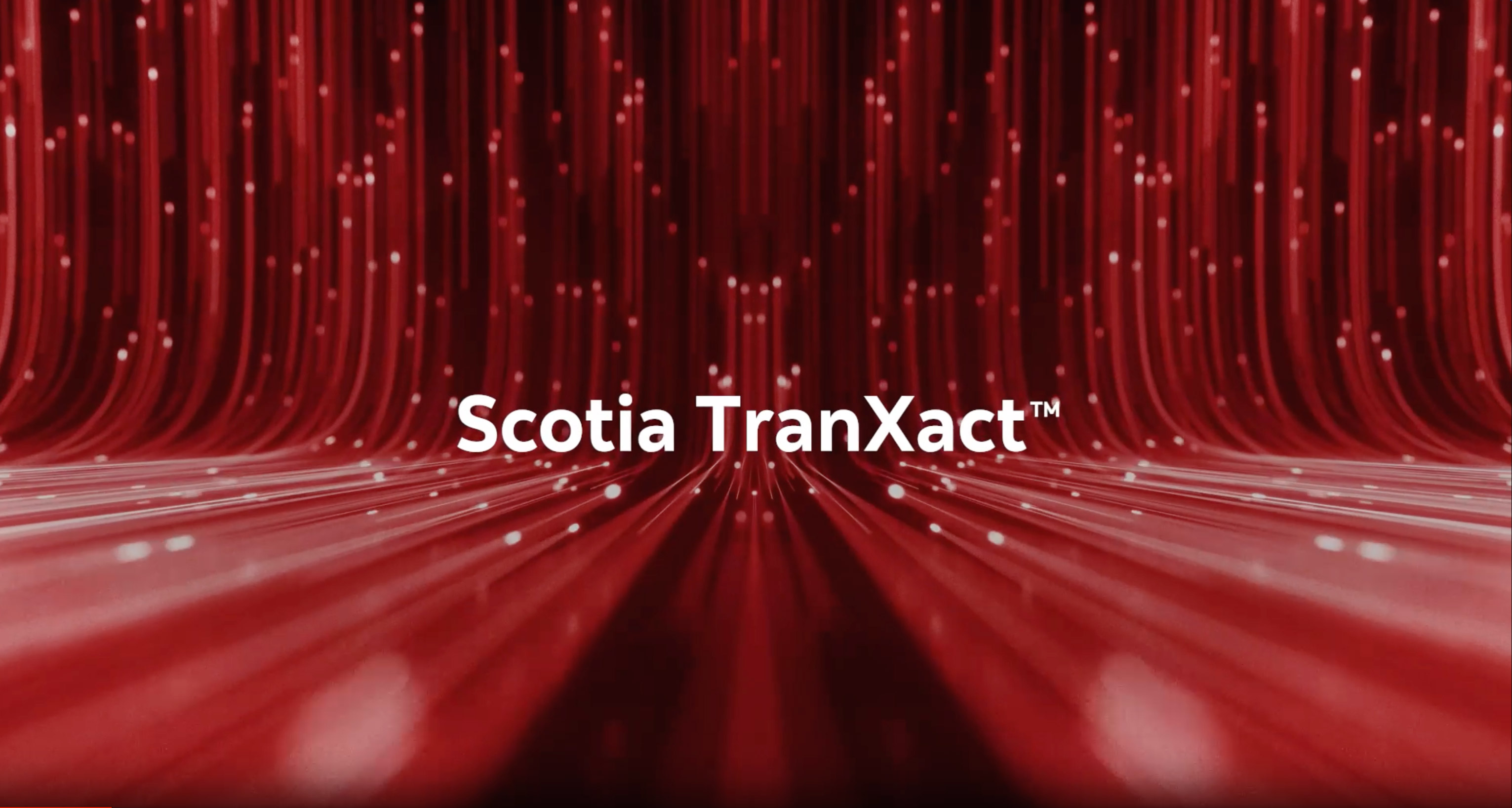 Transact API Video