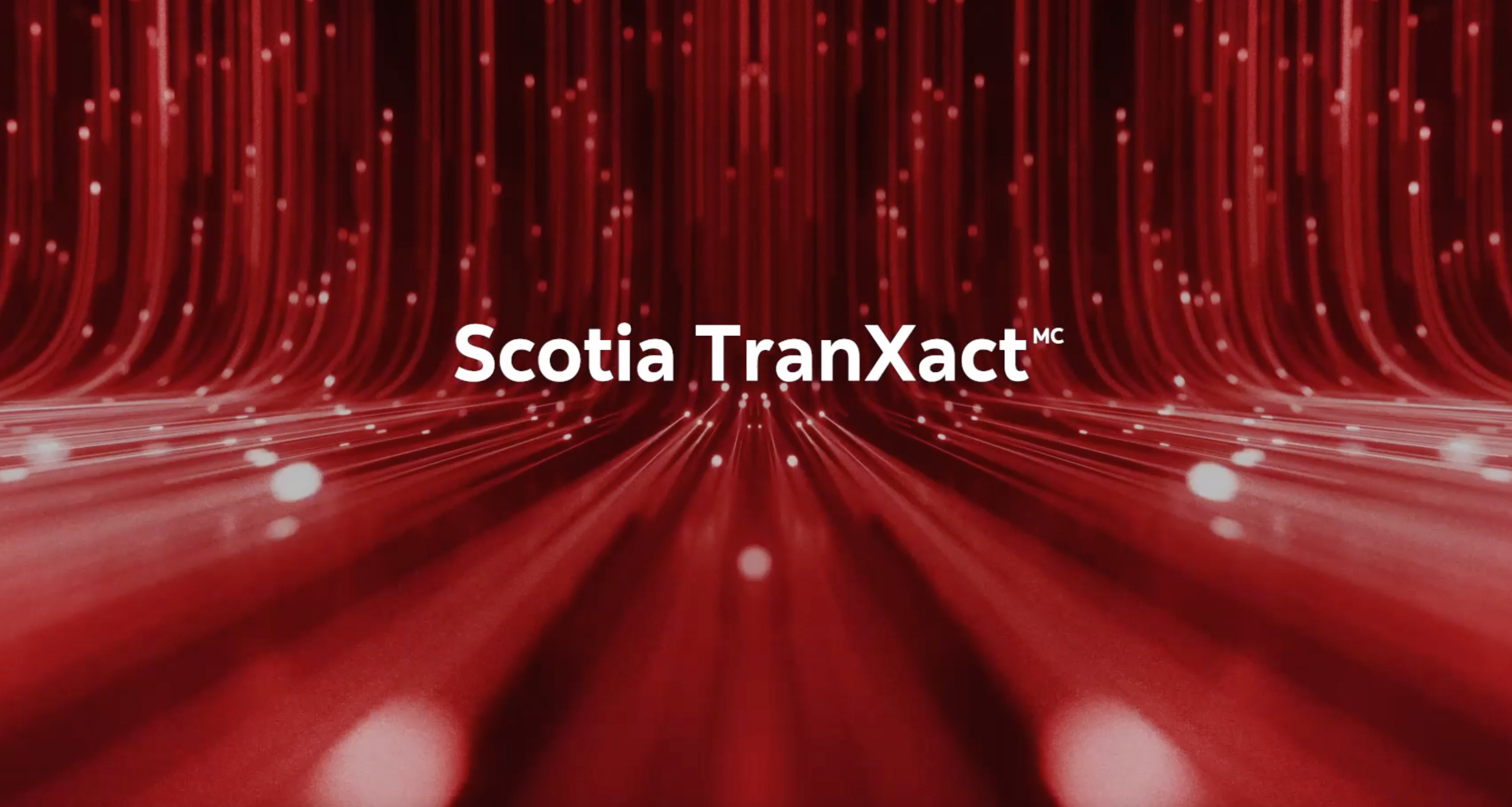 Transact API Video